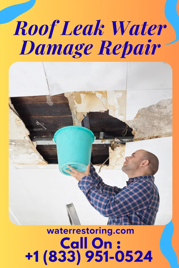 Roof Leak Water Damage Repair in Lacey, AR